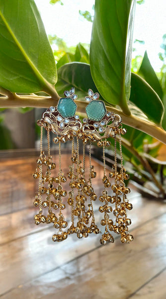 Kashmiri Long Drop Earrings