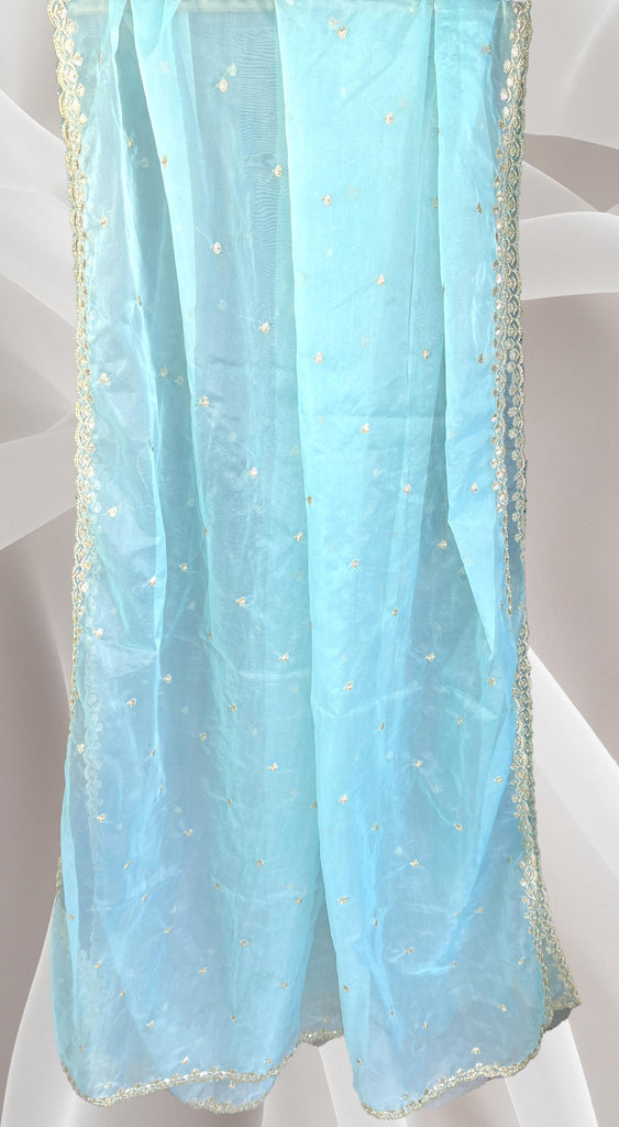 Light Blue Net Dupatta