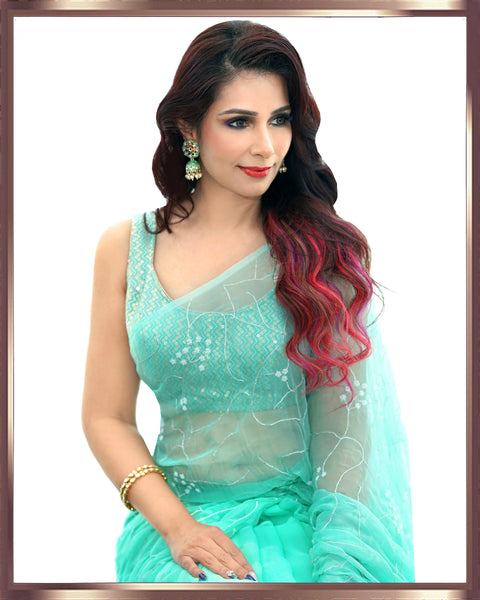 Chiffon Saree