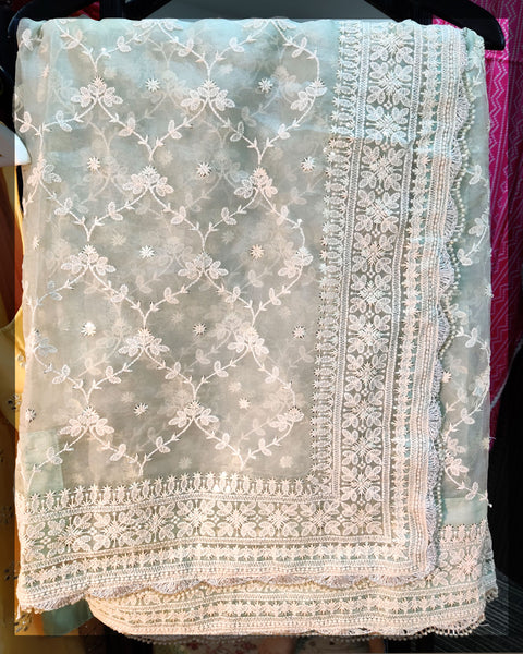 Full Embroidered Organza Saree