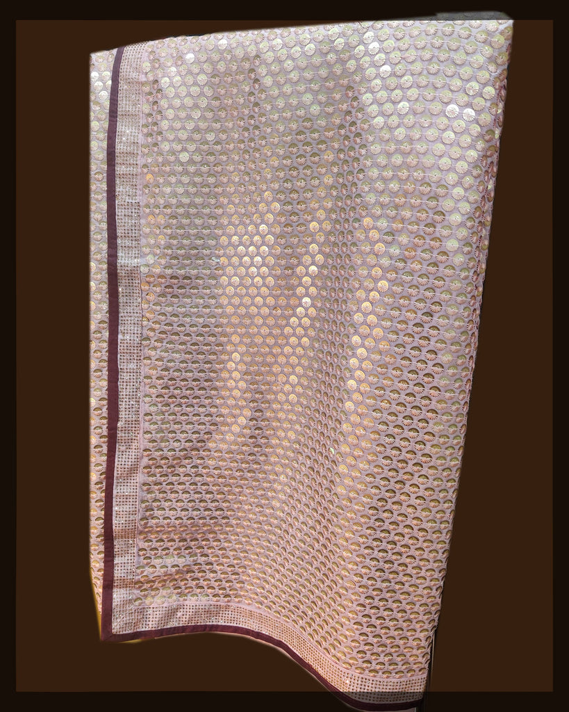 Beige Sequin Saree