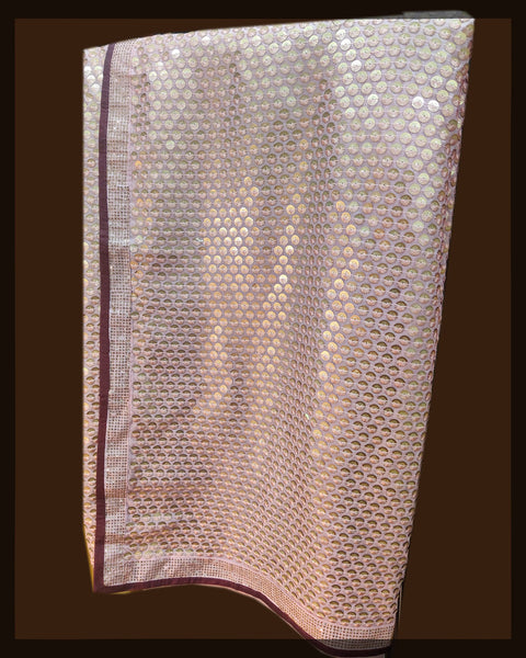 Beige Sequin Saree